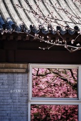 C387827A-0C89-425C-8DAC-9A5705024C53/L0/001