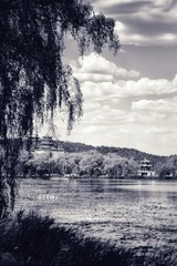 D0200115-E3ED-4069-AB50-4202A67D824F/L0/001