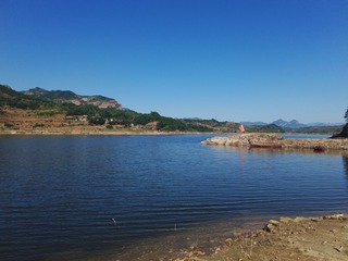 2015278