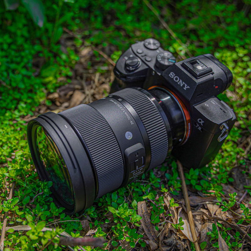 场景图拍摄 适马24-70 - 海龙龙在此 - 图虫