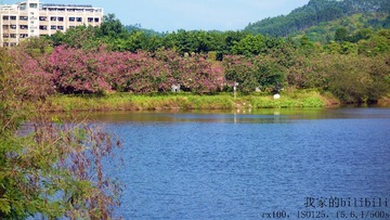 对岸