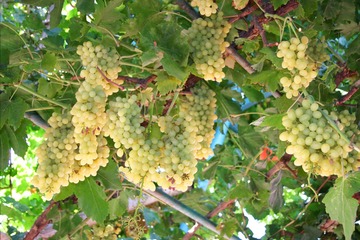 20070912 (63)