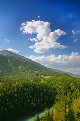 20070913 (12)