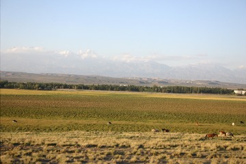 20070912 (17)