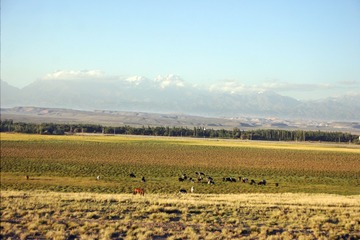 20070912 (16)
