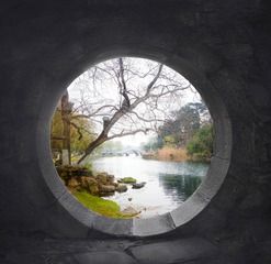 DSCN4286dx