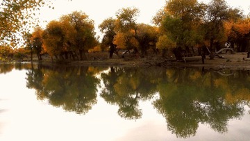 IMG_20161012_144827