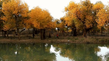 IMG_20161012_144254