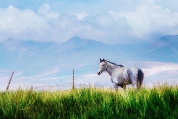 IMG_3991 (2)