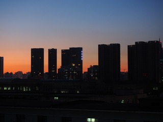 OI000016