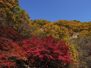 _A090690