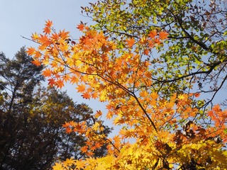 _A090783