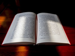 _9060808