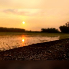 1328166