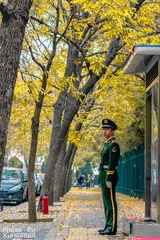 XHR_1317-1