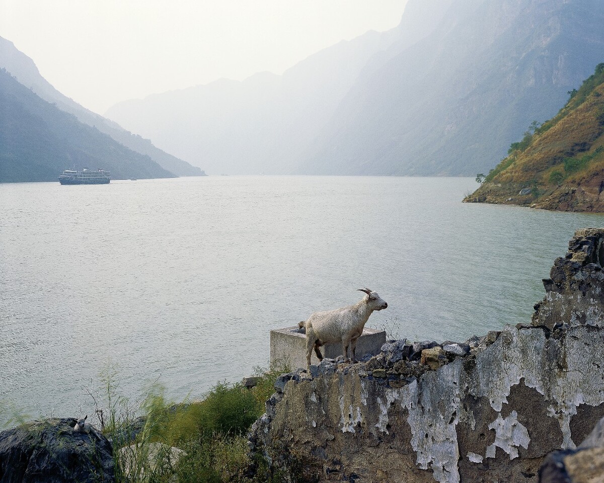超真实中国 神女峰下的山羊, 重庆巫峡, 2007年。
