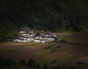 1421983