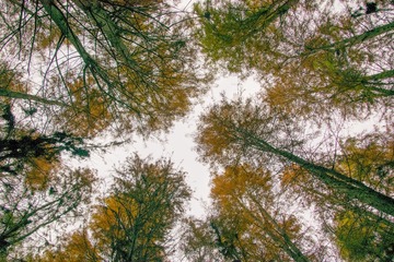绍兴