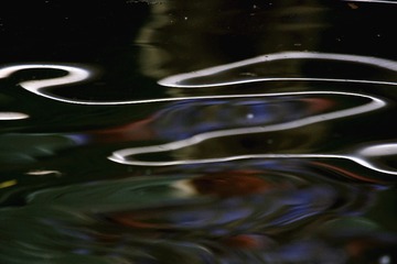 _46C4562