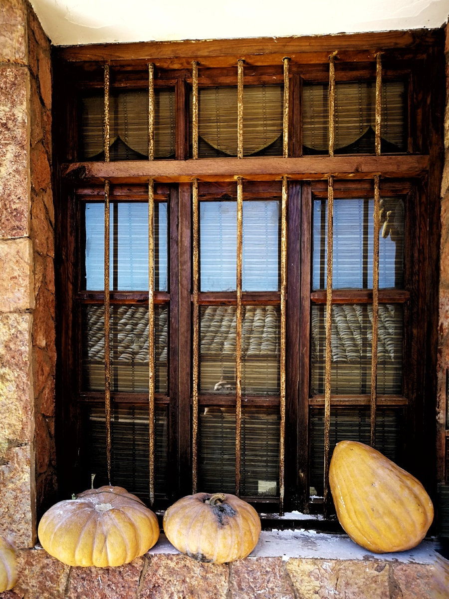 雪隼之眼 - 图虫网 - 优质摄影师交流社区