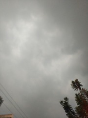 1180720