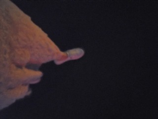 1180739