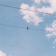 00000000-0000-0000-0000-00000000041F/L0/001