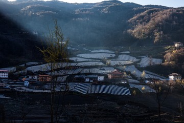 硗碛的春天