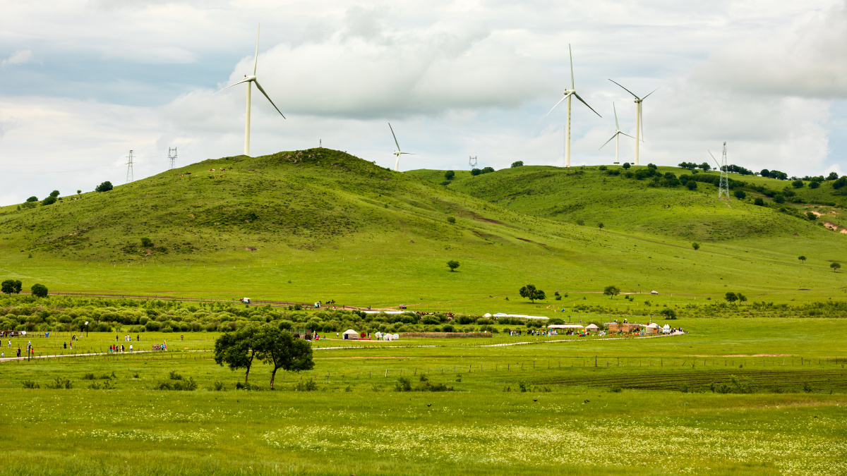 塞罕坝上草原风光一景
