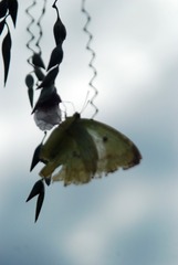 DSC_0337_??
