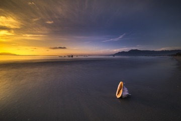 4557