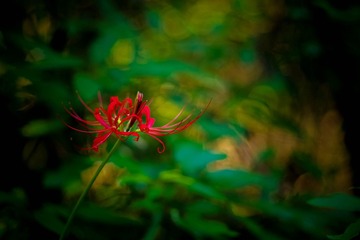 PENTAX K-1 F2.2 1_40s ISO100 -7_10 RICOH IMAGING COMPANY, LTD.03