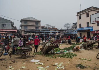 20170127-20170127-IMGP0210