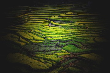 _DSC0121_??