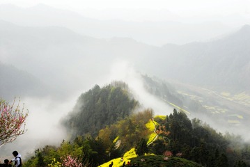 _DSC0218_??