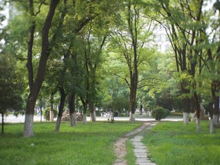 道路