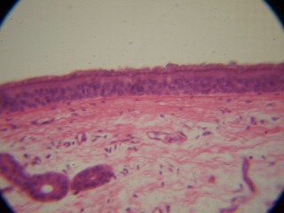 P7234562