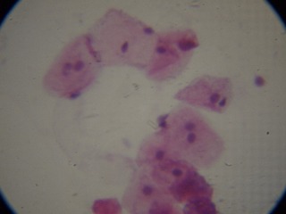 P7234552