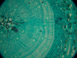 P7234541
