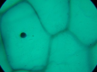 P7234536