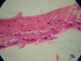P7234519