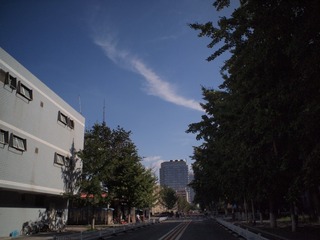 P8074060