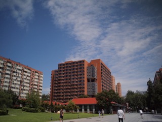 P8073986