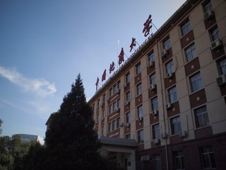 P8074074