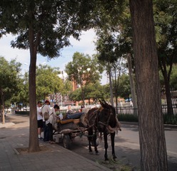 P8144614