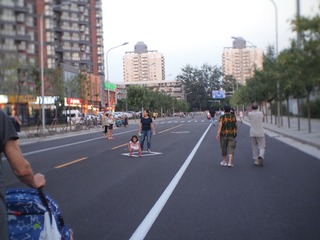 P8195065