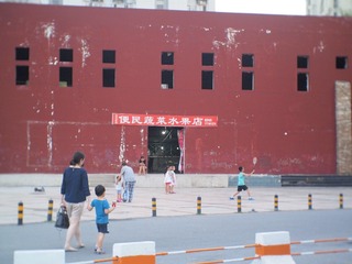 P8215235
