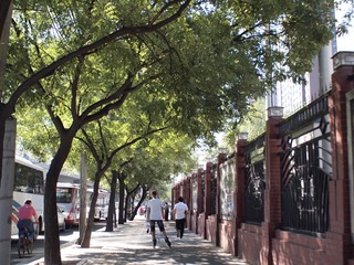 P8275364