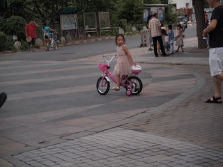 P8295417