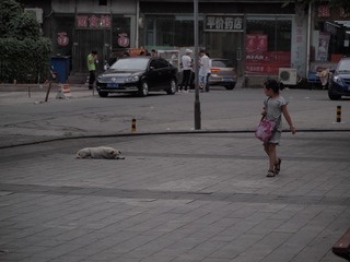 P8295437